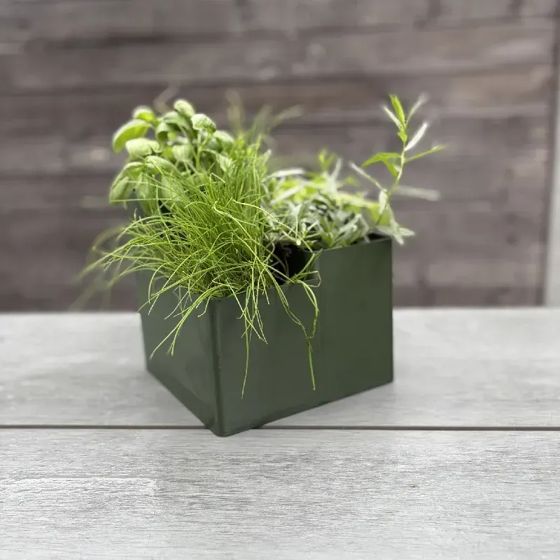 Jardinière Julie en PLA - Pot 4 compartiments pour herbes intérieur et extérieur